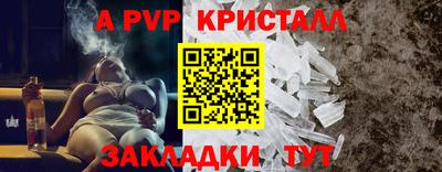 крисы Новокубанск