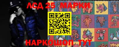 spice Новозыбков