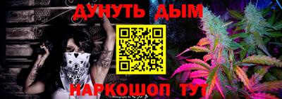 крисы Новокубанск