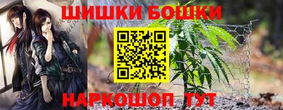 крисы Новокубанск