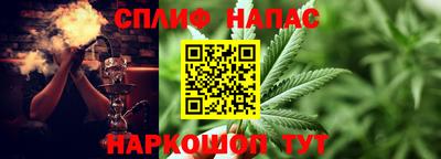 крисы Новокубанск