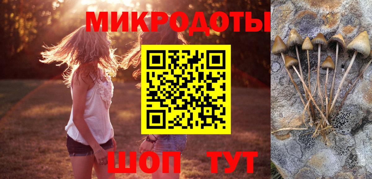 как найти закладки  Вход с VPN  Юрга  Псилоцибиновые грибы прущие грибы  Галлюциногенные грибы Psilocybe 